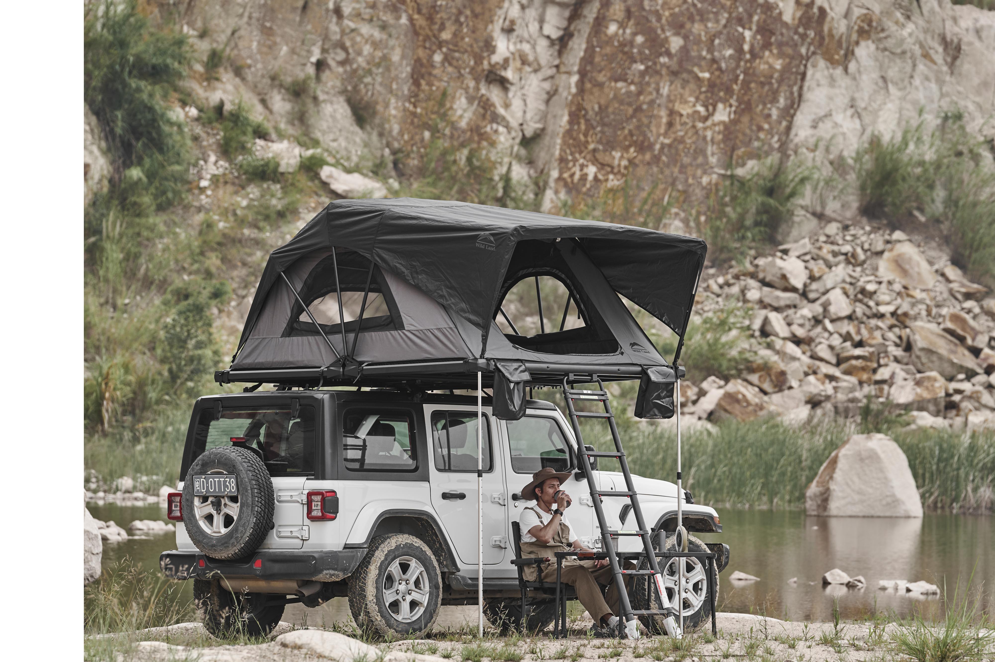 Wild Cruiser Pro 250