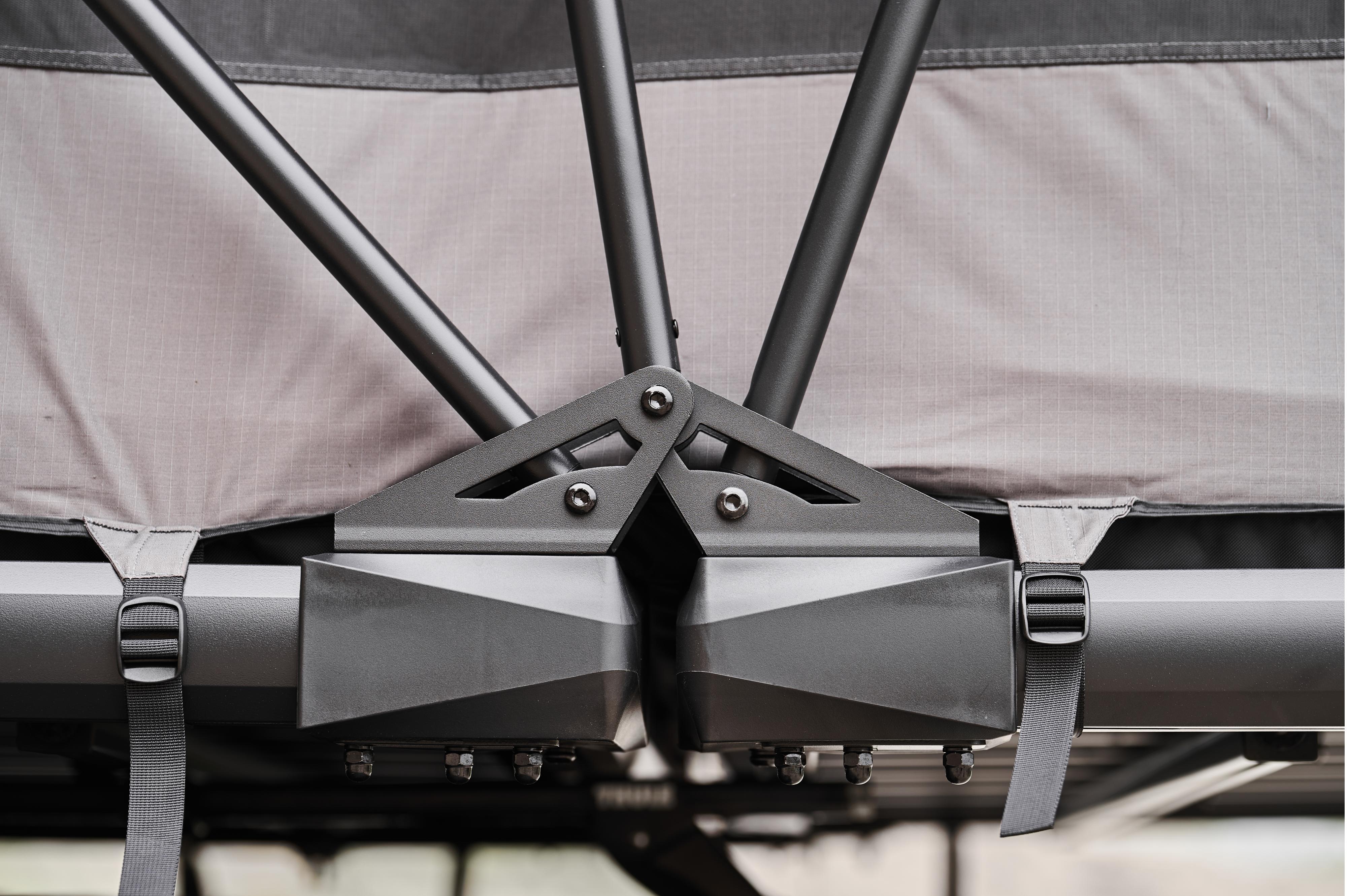 Wild Cruiser Pro 250