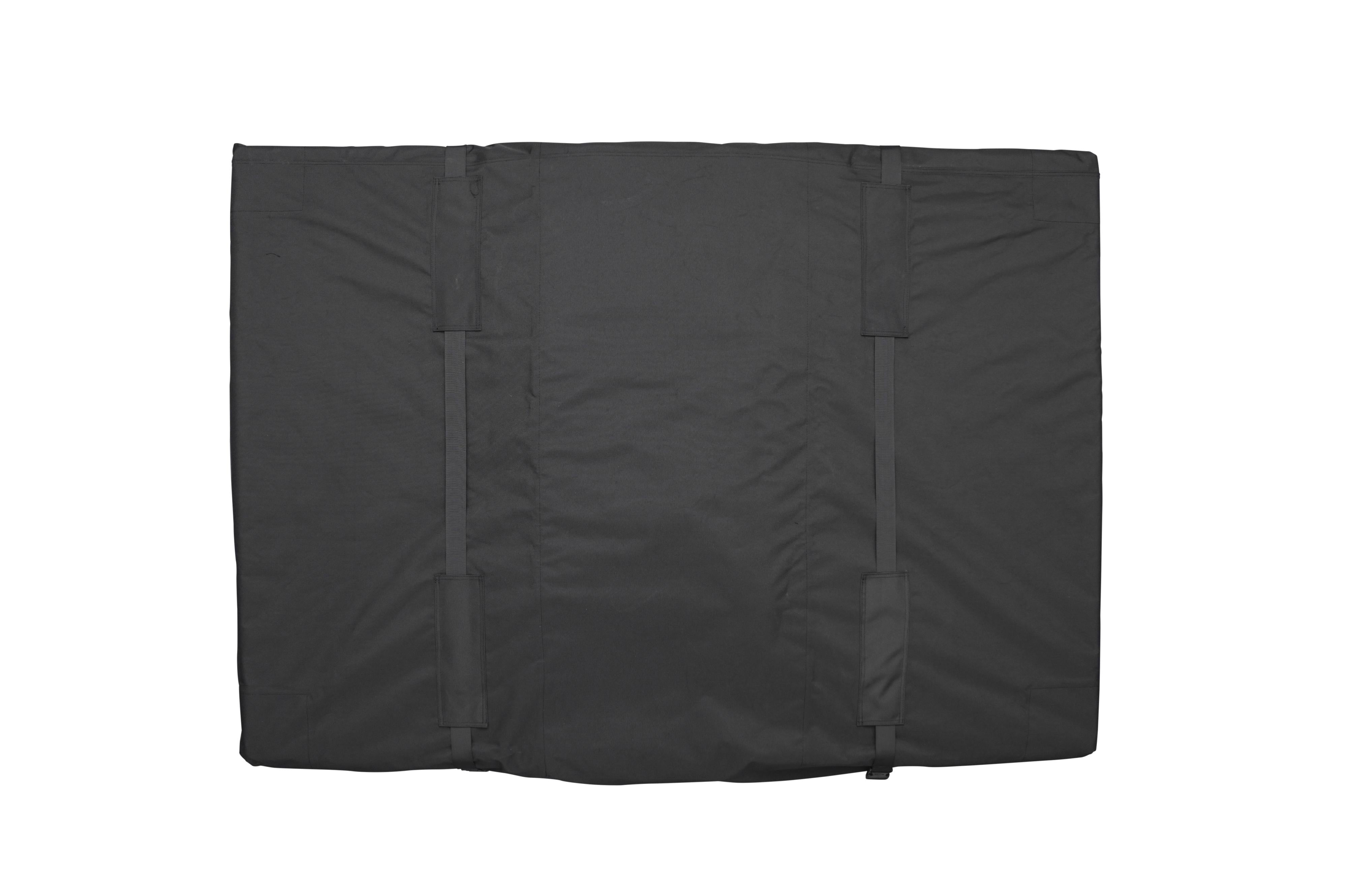 Wild Cruiser Pro 250 Cover